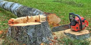 Best Firewood Processing and Delivery  in Webster, SD